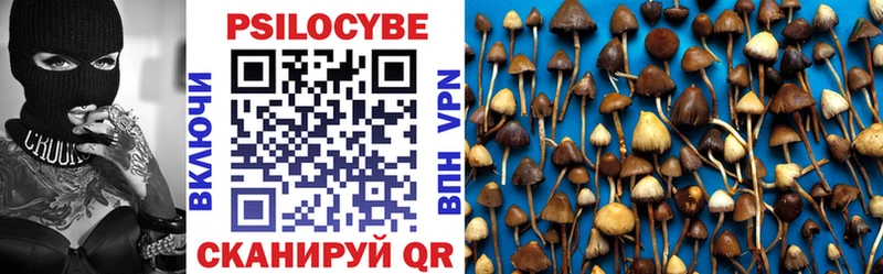 Галлюциногенные грибы мицелий  блэк спрут ТОР  Агидель 